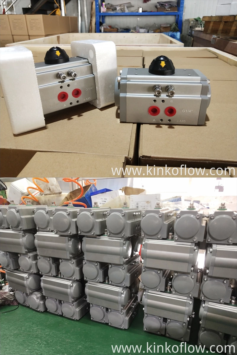 Double Acting Pneumatic Actuator