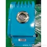 Intelligent Control Electric Actuator